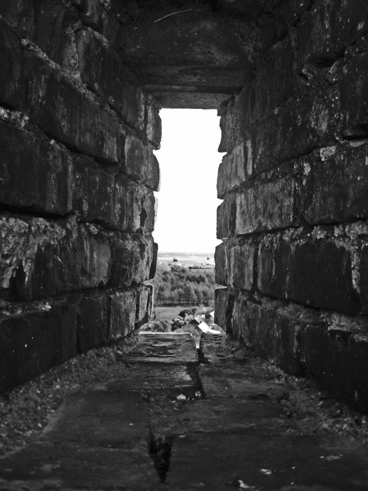 ein kleiner Blick in die große Welt