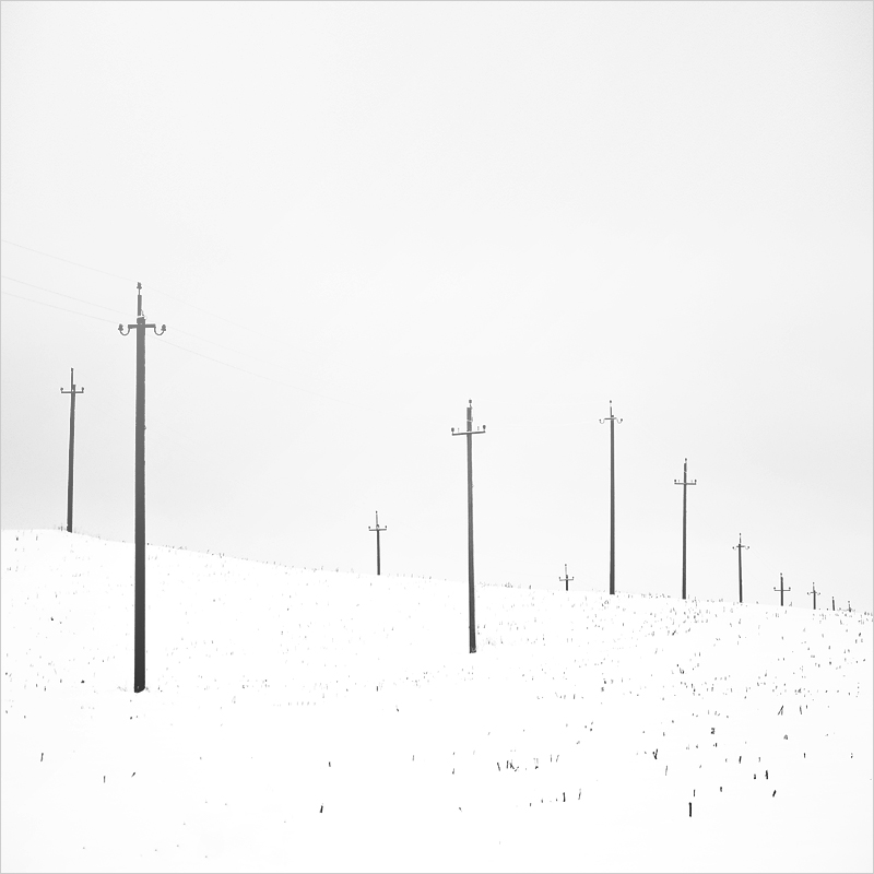 [ Where there are growing...]