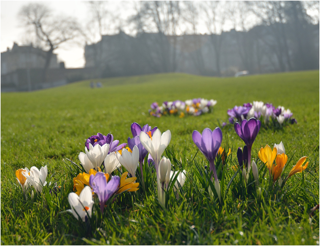 Frühling in vollem Gange
