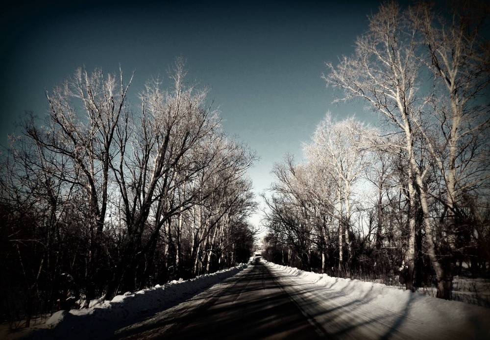 Winter-beemyatezhnost