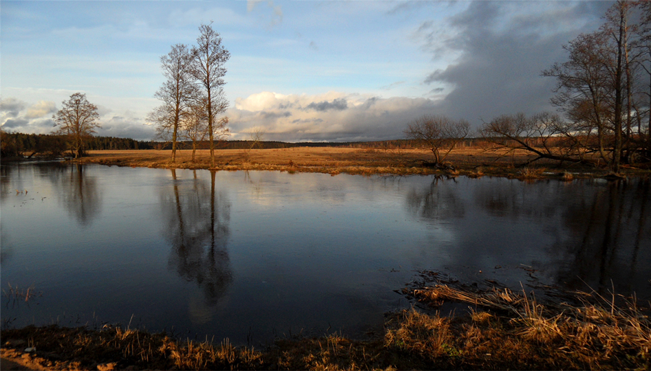 Und doch .......... Frühling.