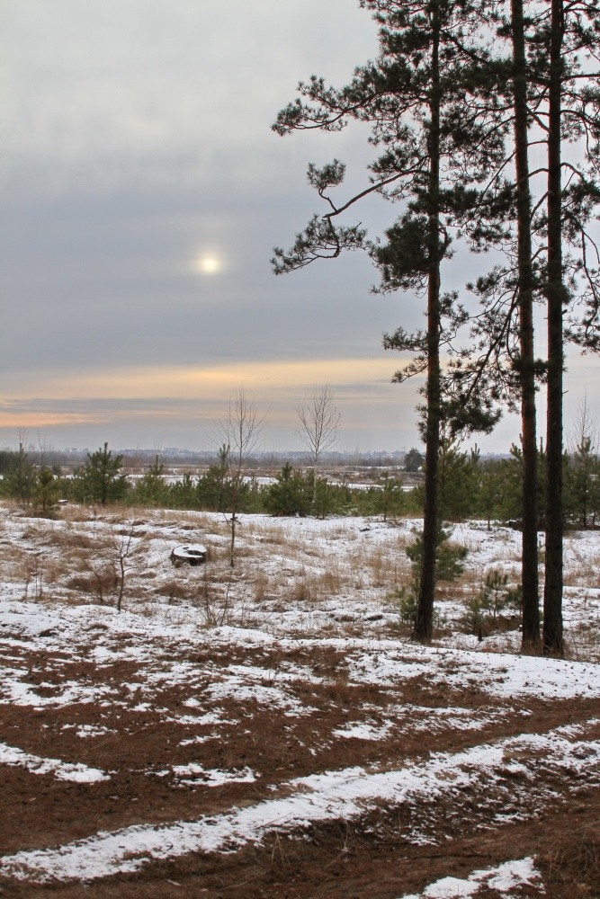 Es ist nicht Herbst, aber noch nicht Winter.