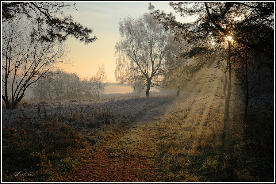 Ein frostiger Morgen