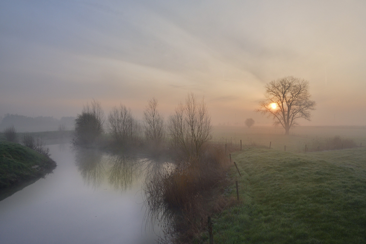 Early in the morning.