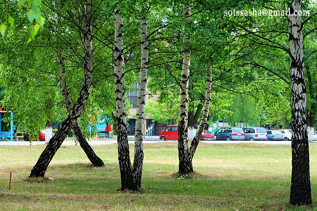 Nachricht aus der Natur
