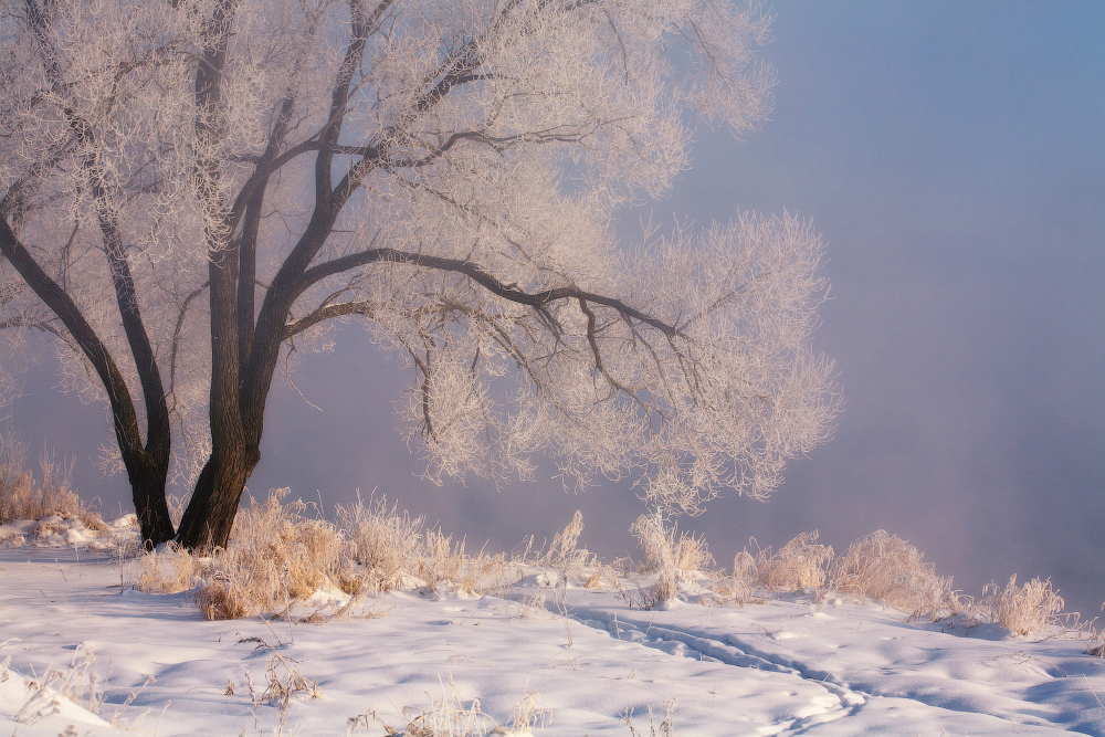 Memories of Winter ... (Serie) ...