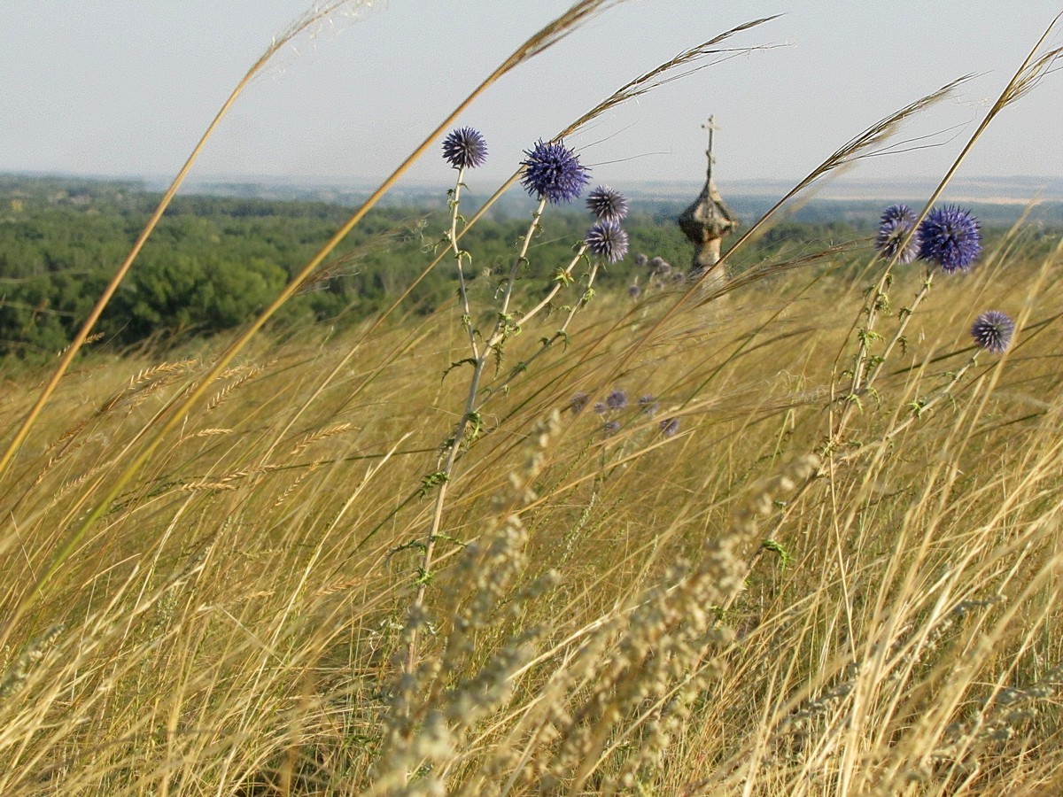 Auf der Suche nach Wahrheit