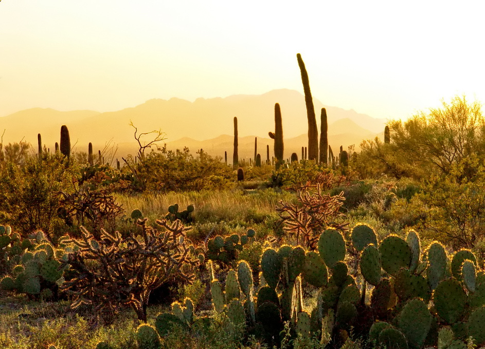 Wüste Nacht, die Geister ...