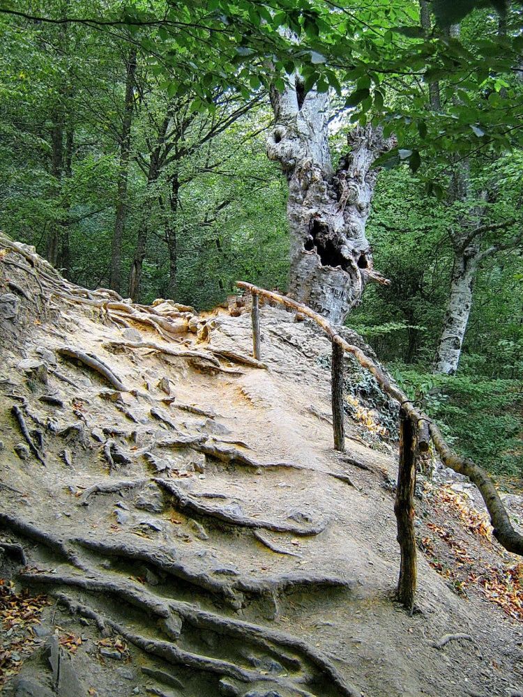 mit geschwungenen ...