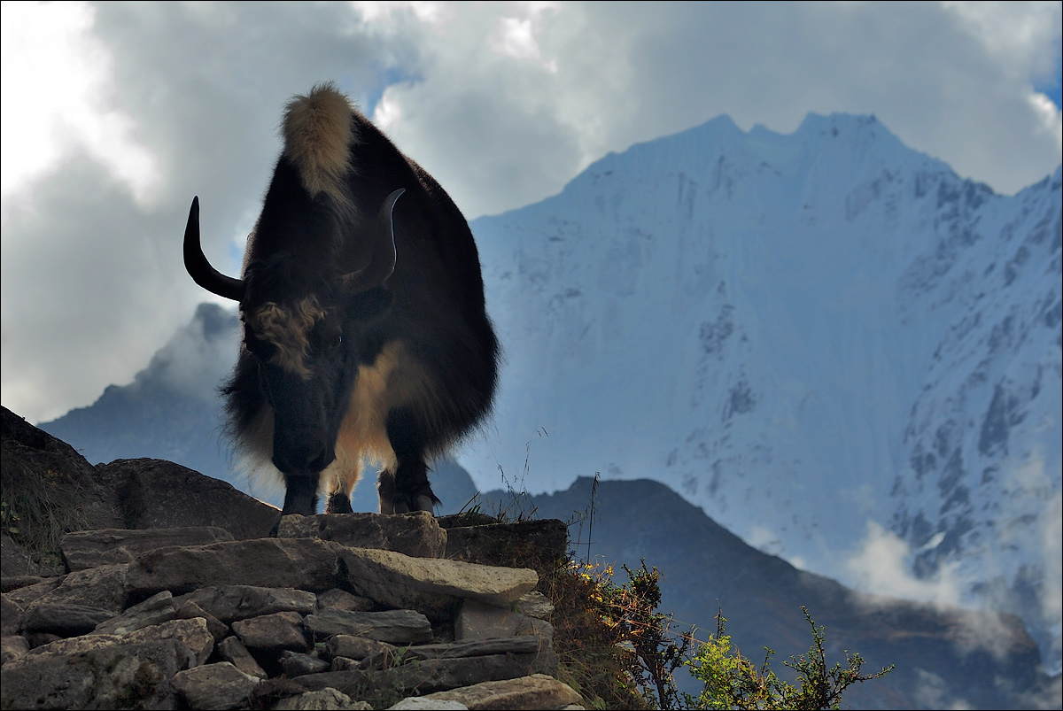 Aus dem Weg! ... (Gesetz. Direkte Aktion)