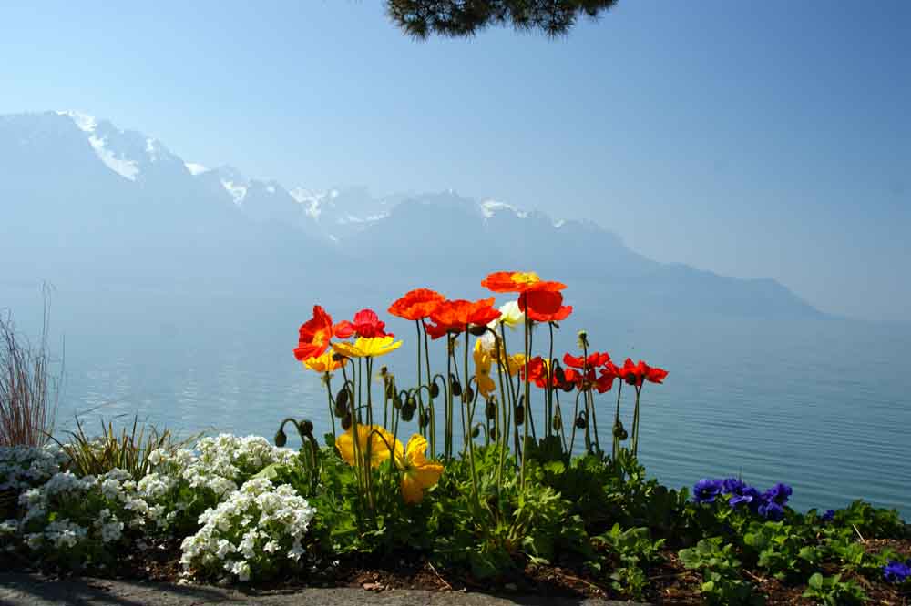 Montreux, Schweiz