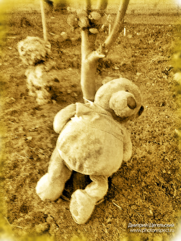 Bär warf die Wirtin ...