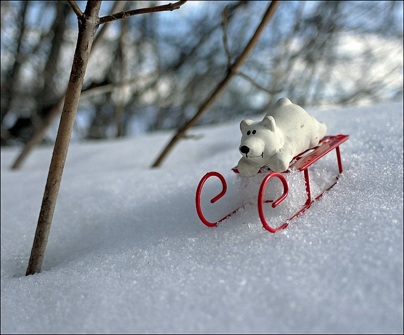 Die letzte (dieses Jahr), Scheck ...