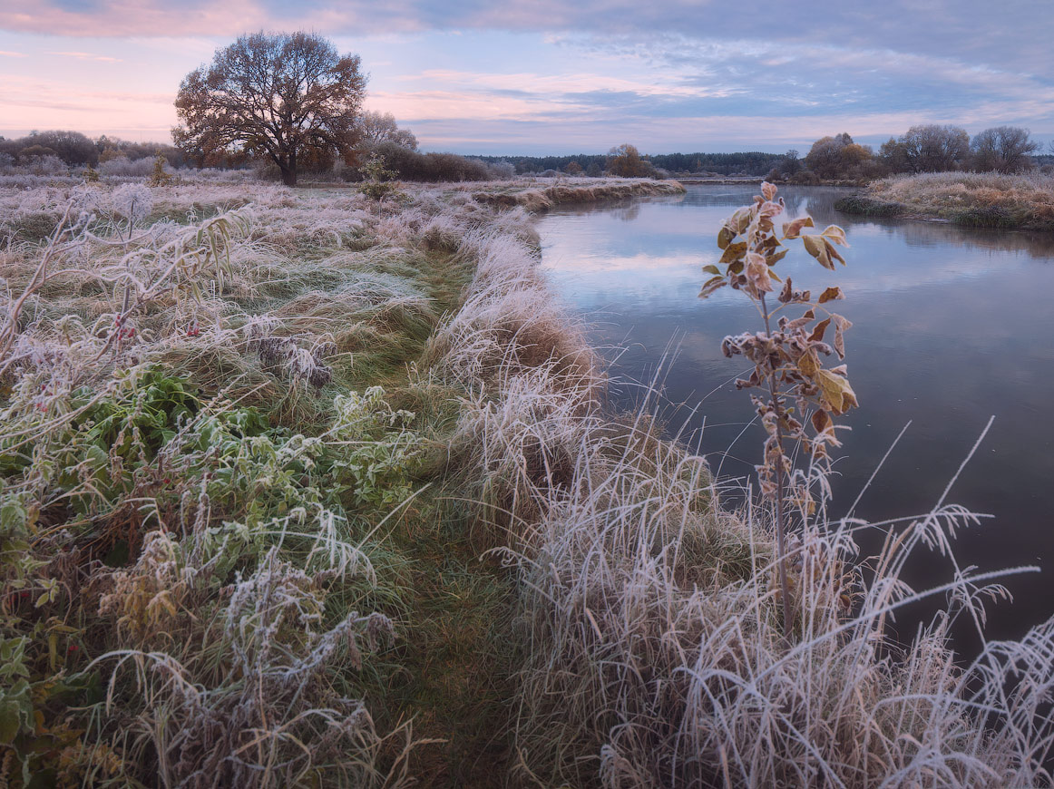 ÜBER zuerst eingefroren