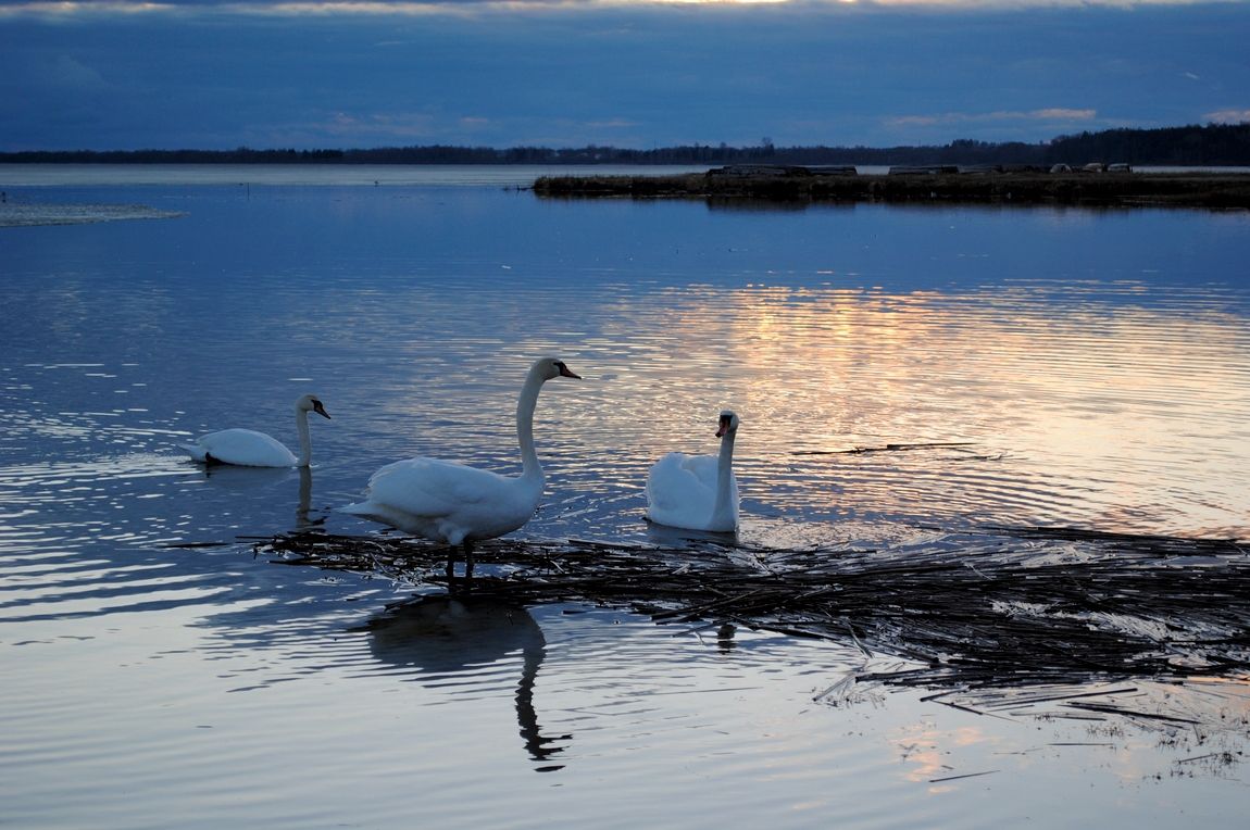 und wieder über die Liebe ....