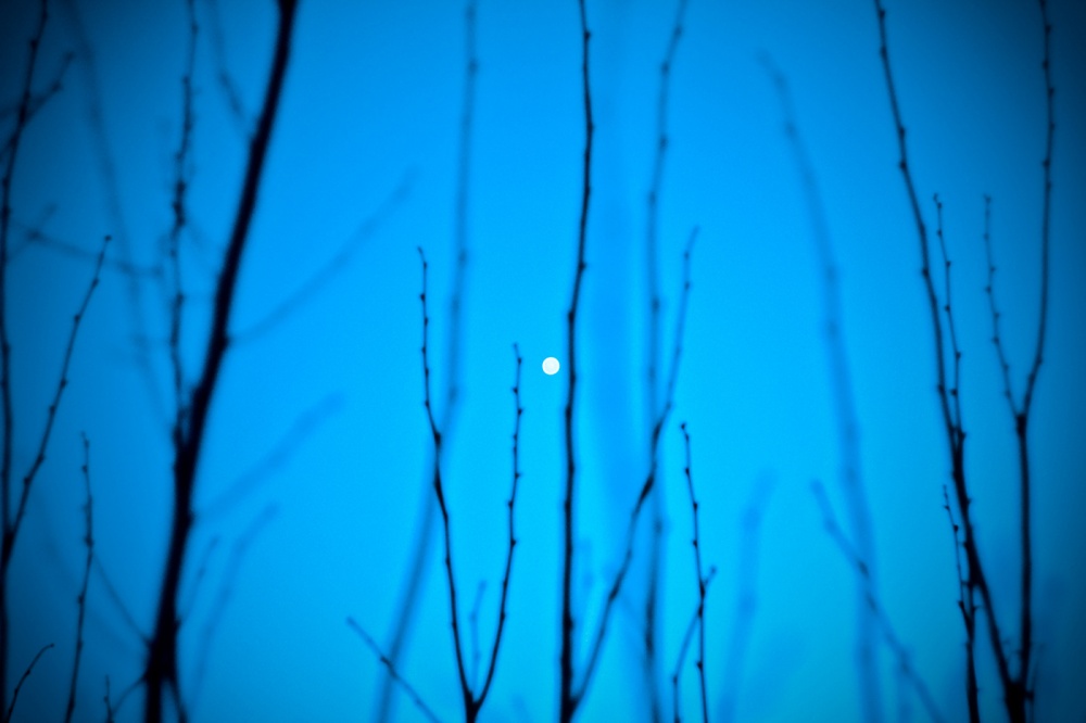 "Лунакрошка"