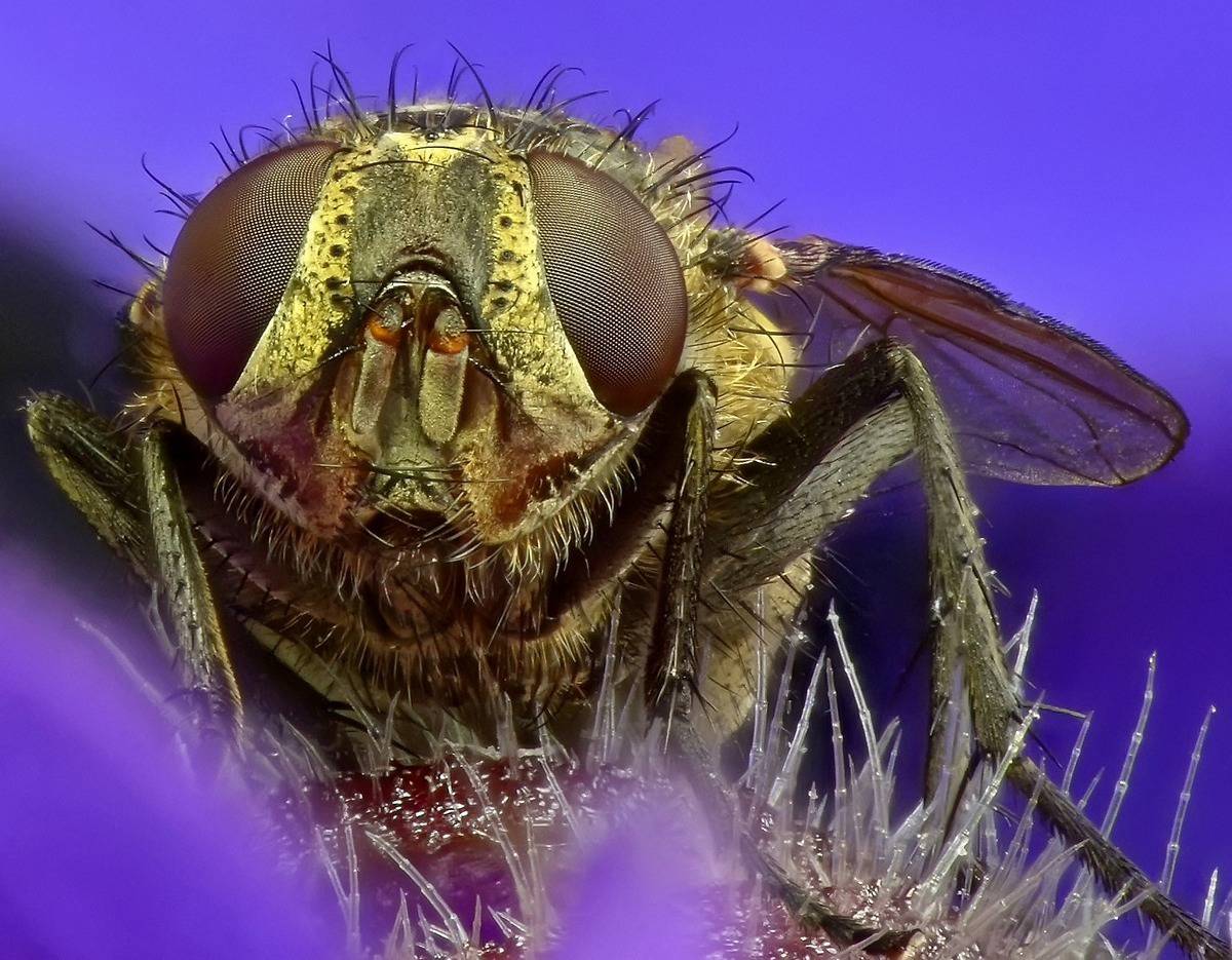 Ich komme zu dir ...