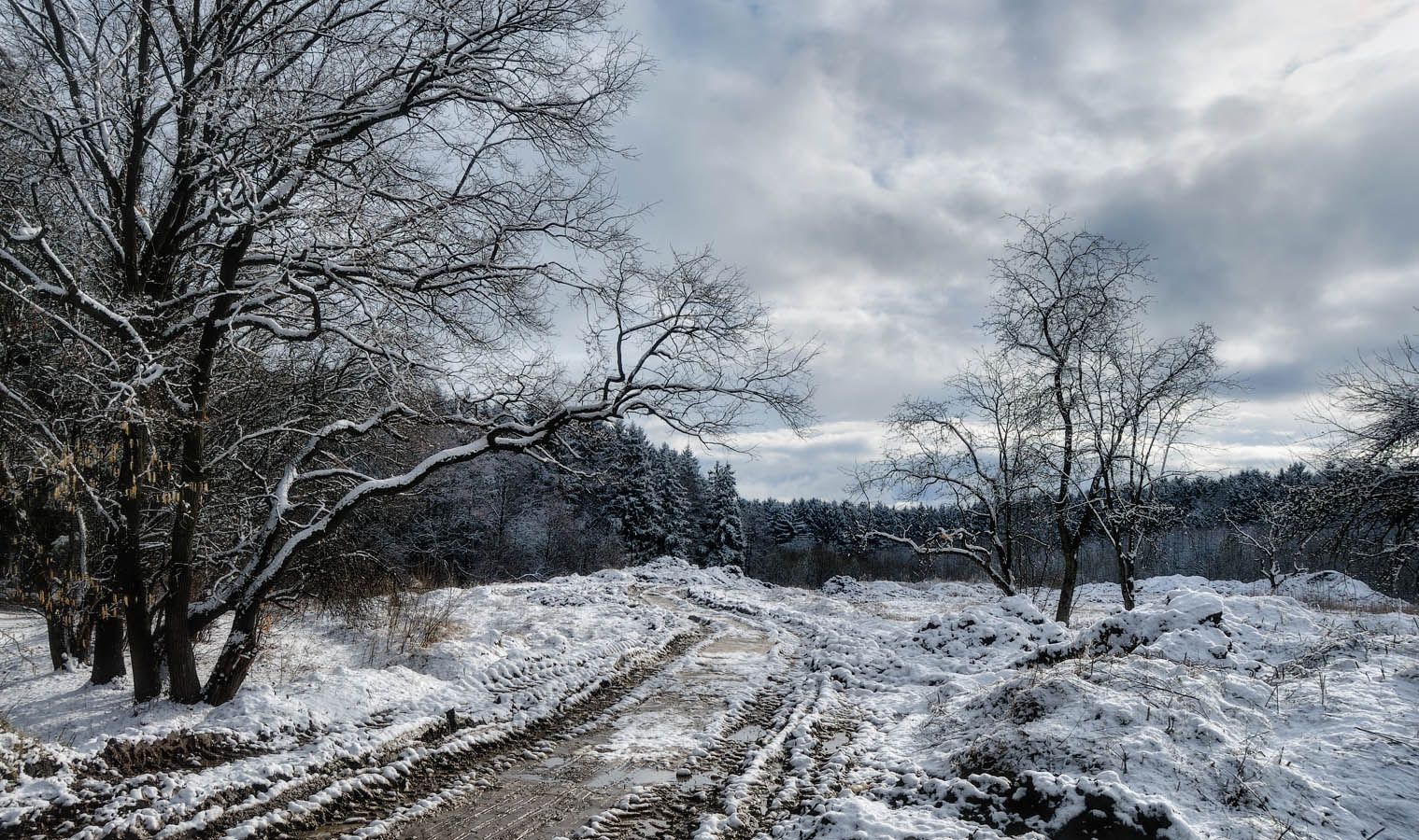 Looking For The Summer