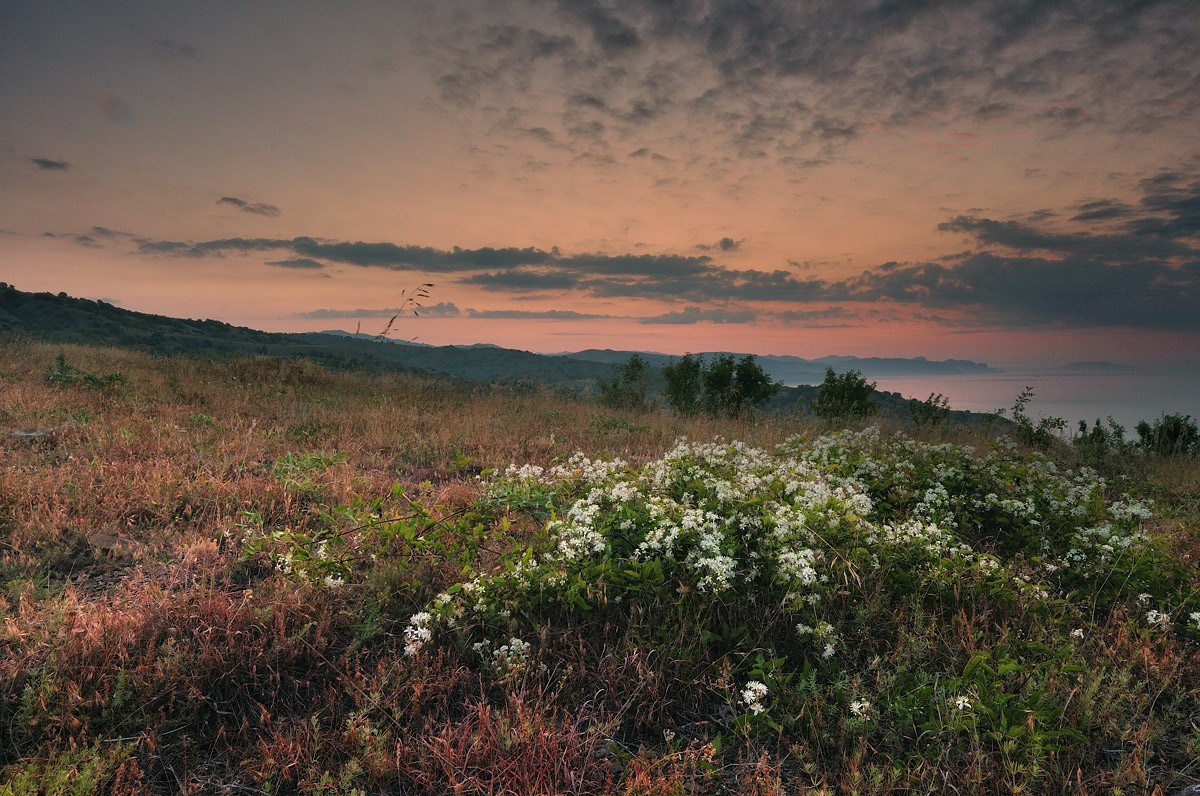 Noch vor der Morgendämmerung.