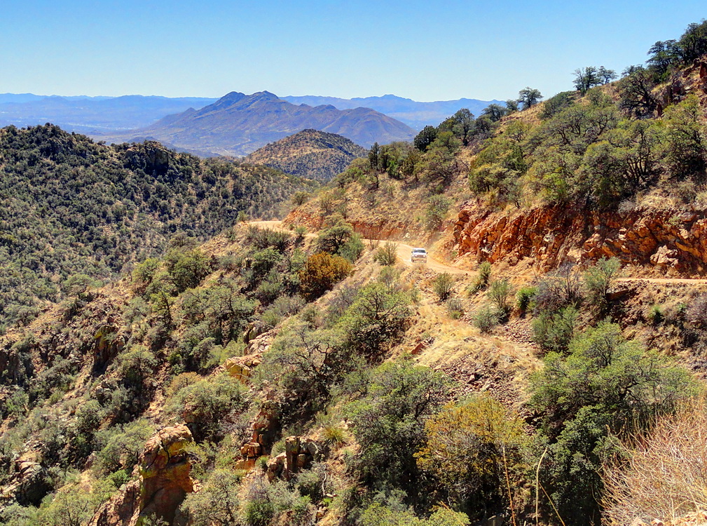 in den Bergen von Arizona