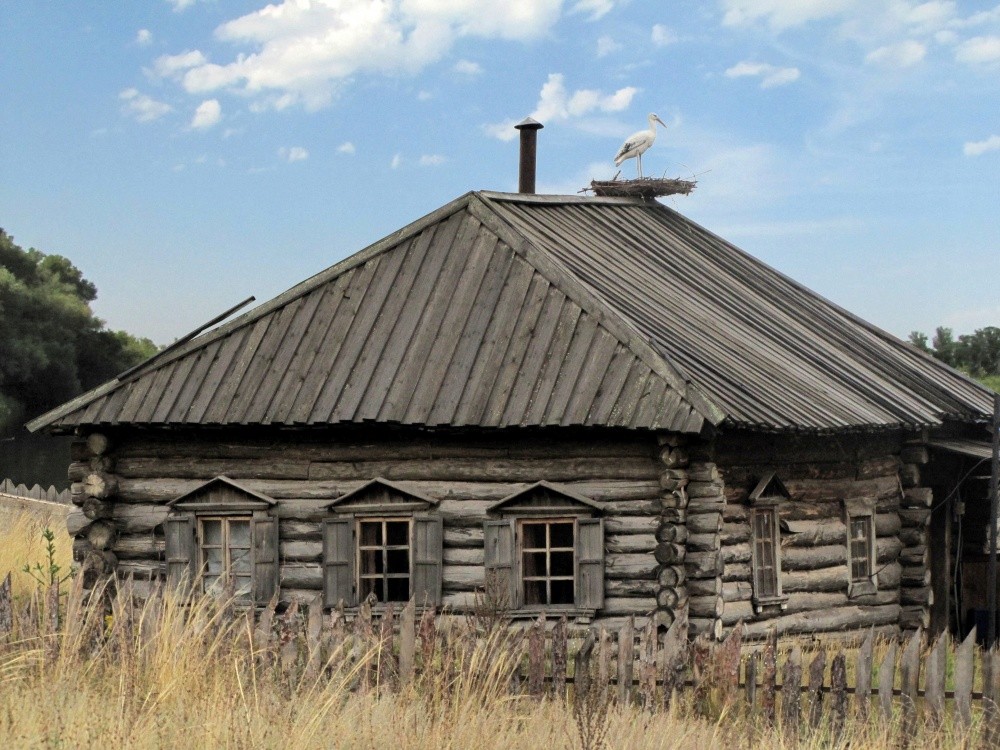 Auf dem Dach meines Hauses ...