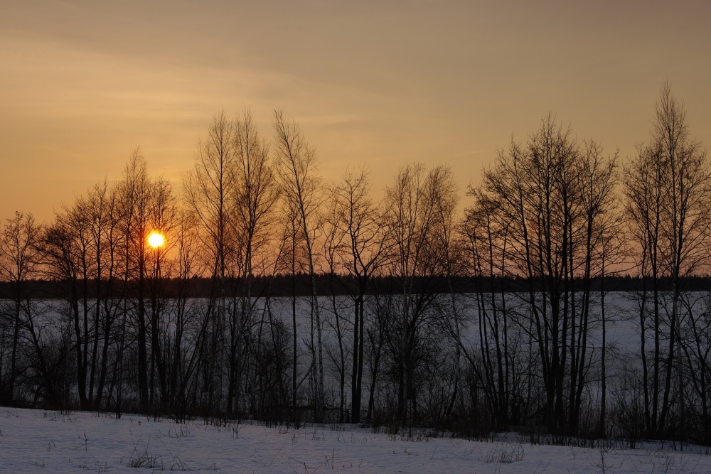 Die April-Rückgang.