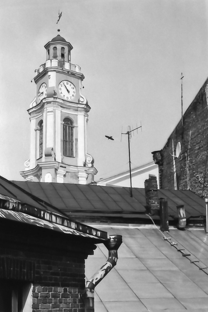 Вид из окна на городскую ратушу. Витебск.