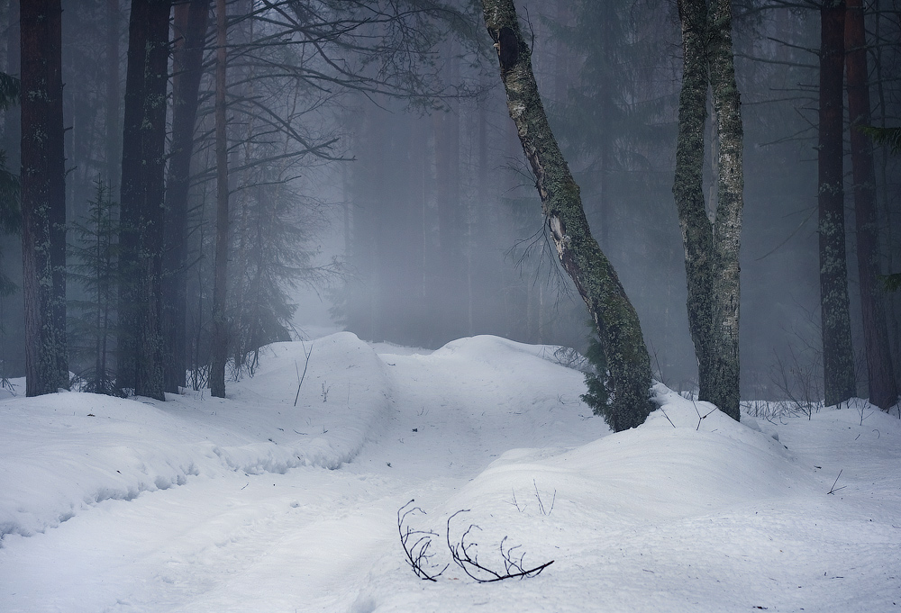 Darüber, wie der Nebel frisst April Schnee
