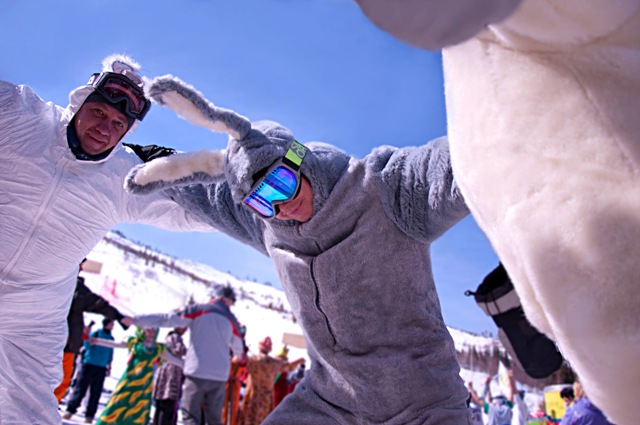 lustig borderskie Hasen)