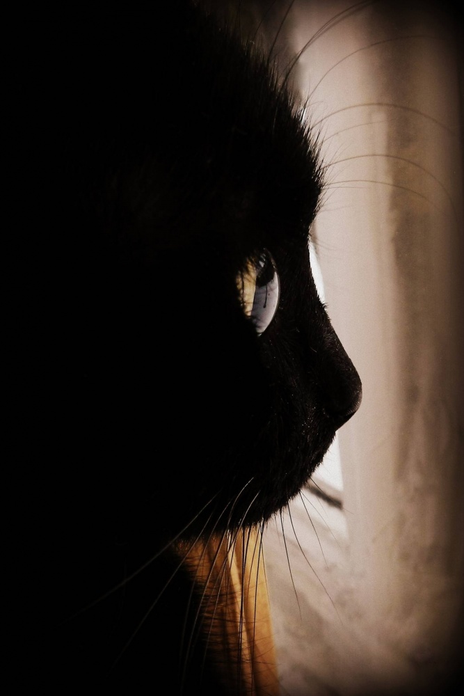 ein Abschied von Winter ...