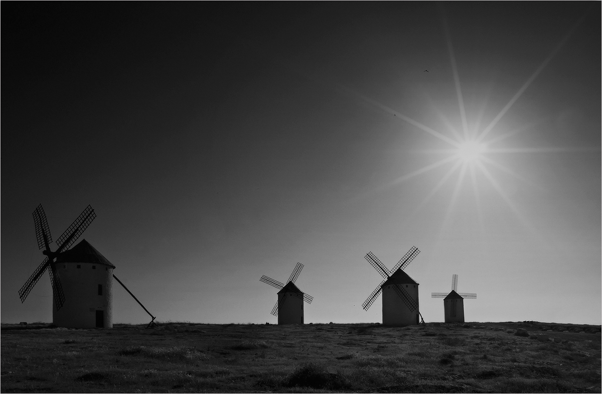 In Erwartung des Don Quijote