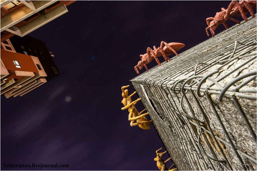 Die Jungs von unserem Hof