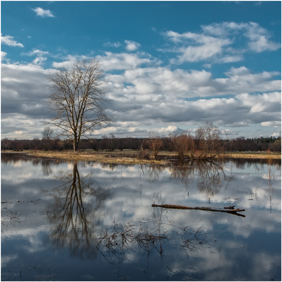 Inspiriert von der Stimmung des Frühlings, ich