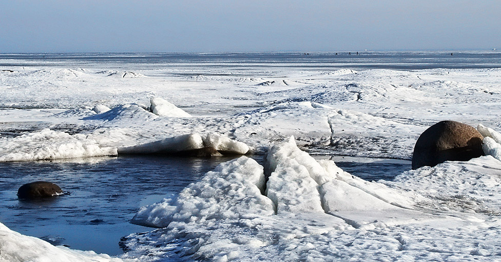 Leidenschaft gerochen ...