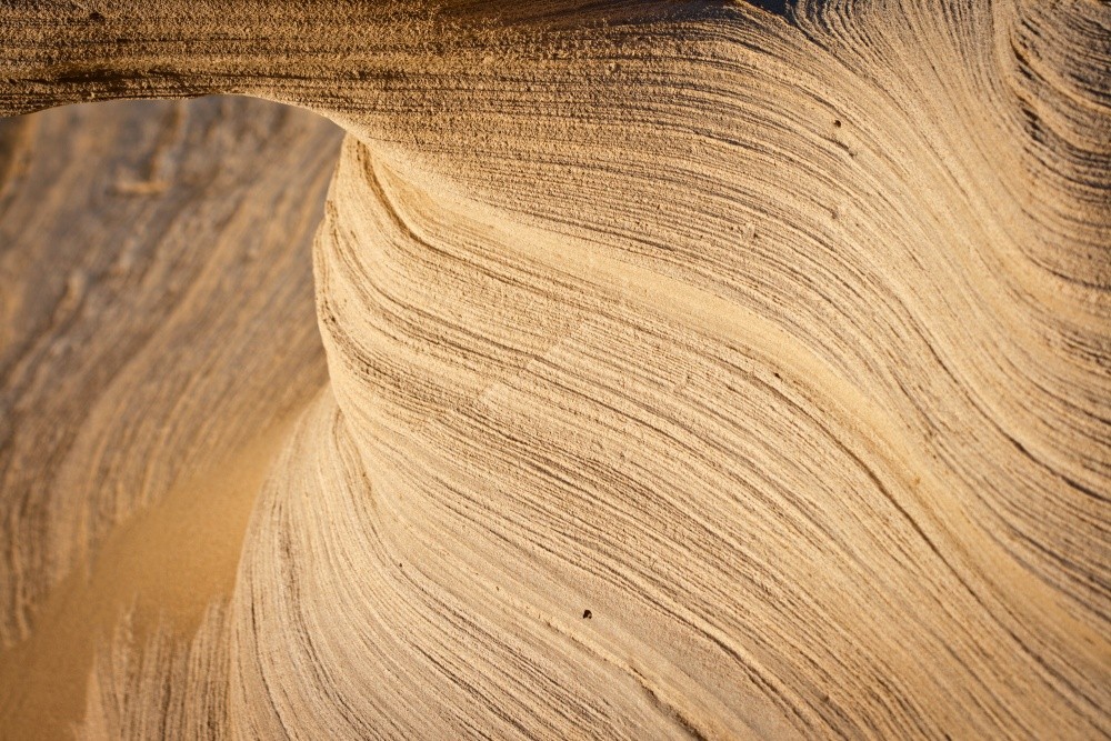 Sand Rock (macro)
