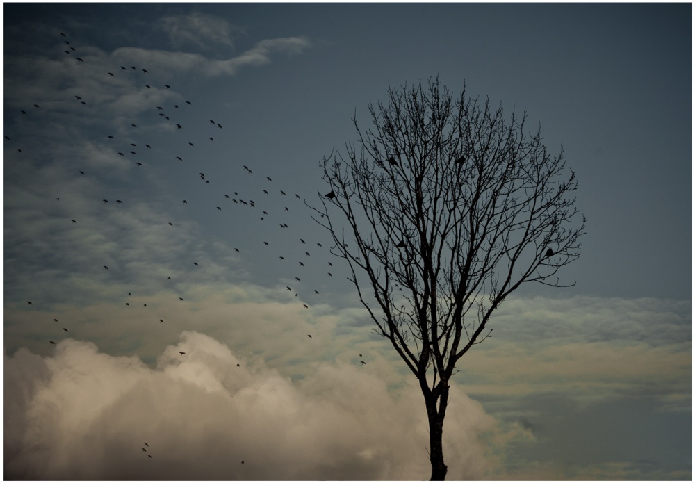 Inspiriert von der Stimmung des Frühlings II