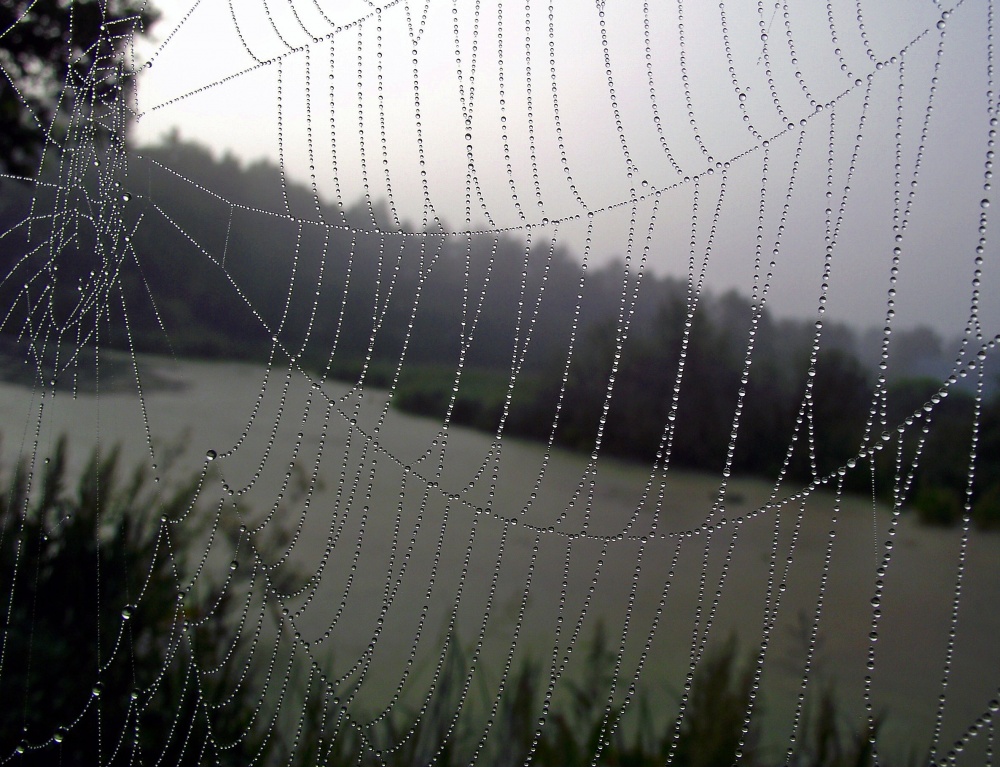 erstaunliche Magie des Wassers