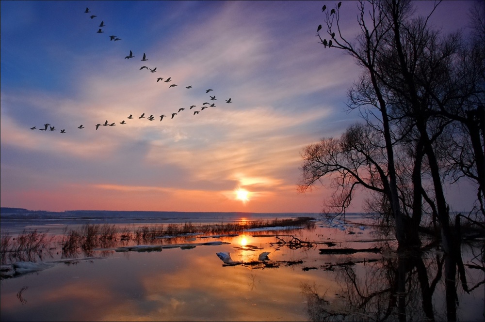 Die Spill an der Oka.