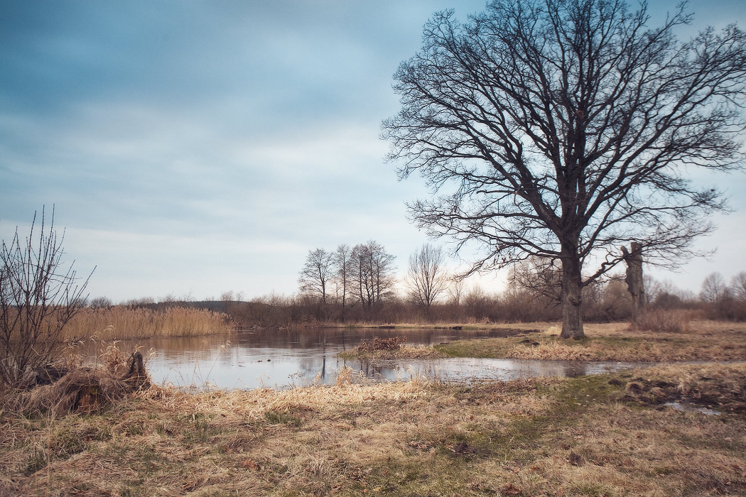 April abends auf dem Neman