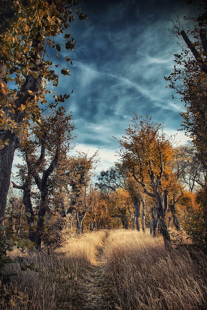"... Pop up mit den Wärmepfad einheimischen Gräser ..."