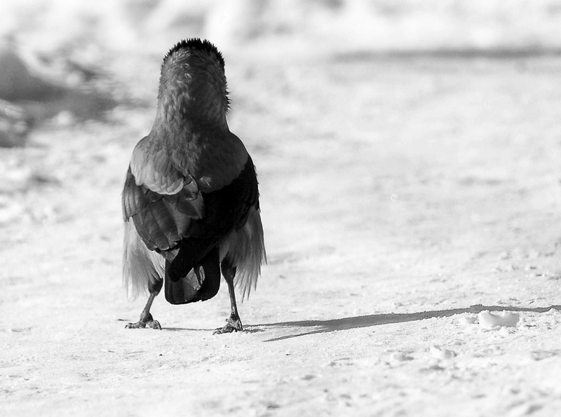 Auf der Landstraße ...