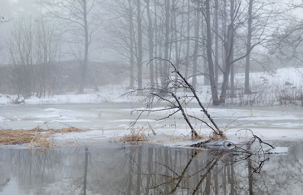 Studium der frühen Flut