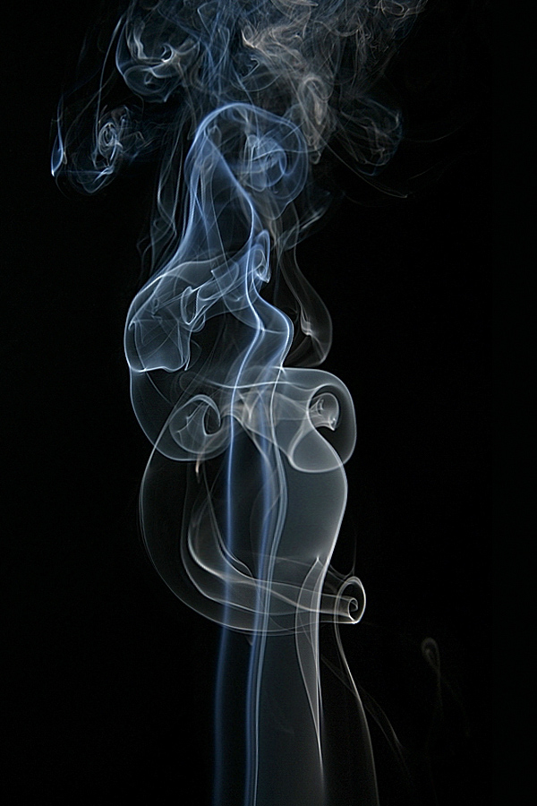 Schwangerschafts-1 (Schwangerschaft)