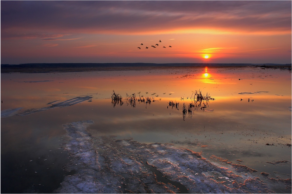 Abend in den Auen der Oka