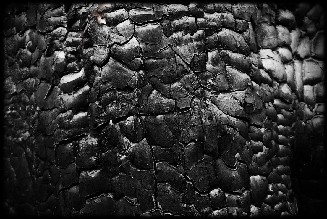 серия Fire & wood.