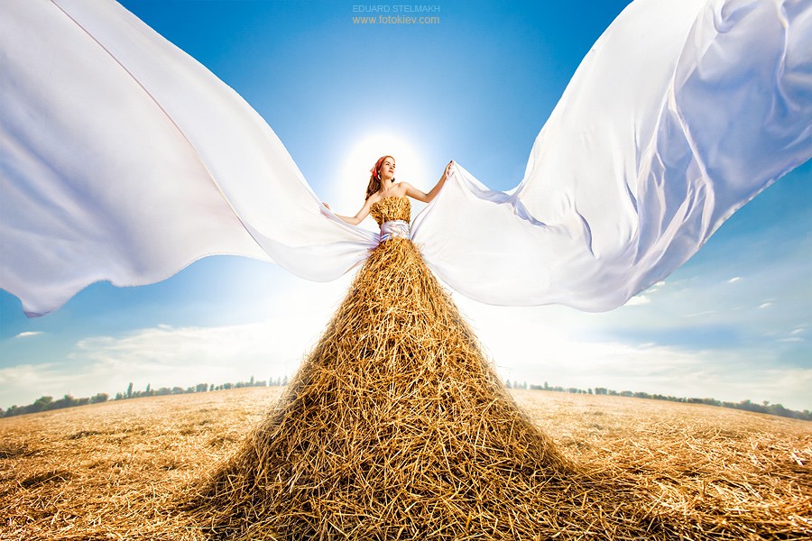 Aktualisieren Sie Ihre Lieblingsfotos