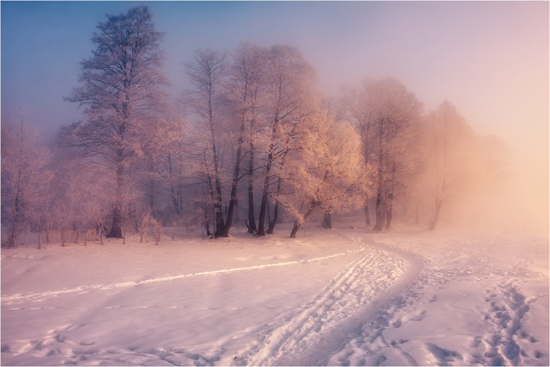 Winter Relax ........................