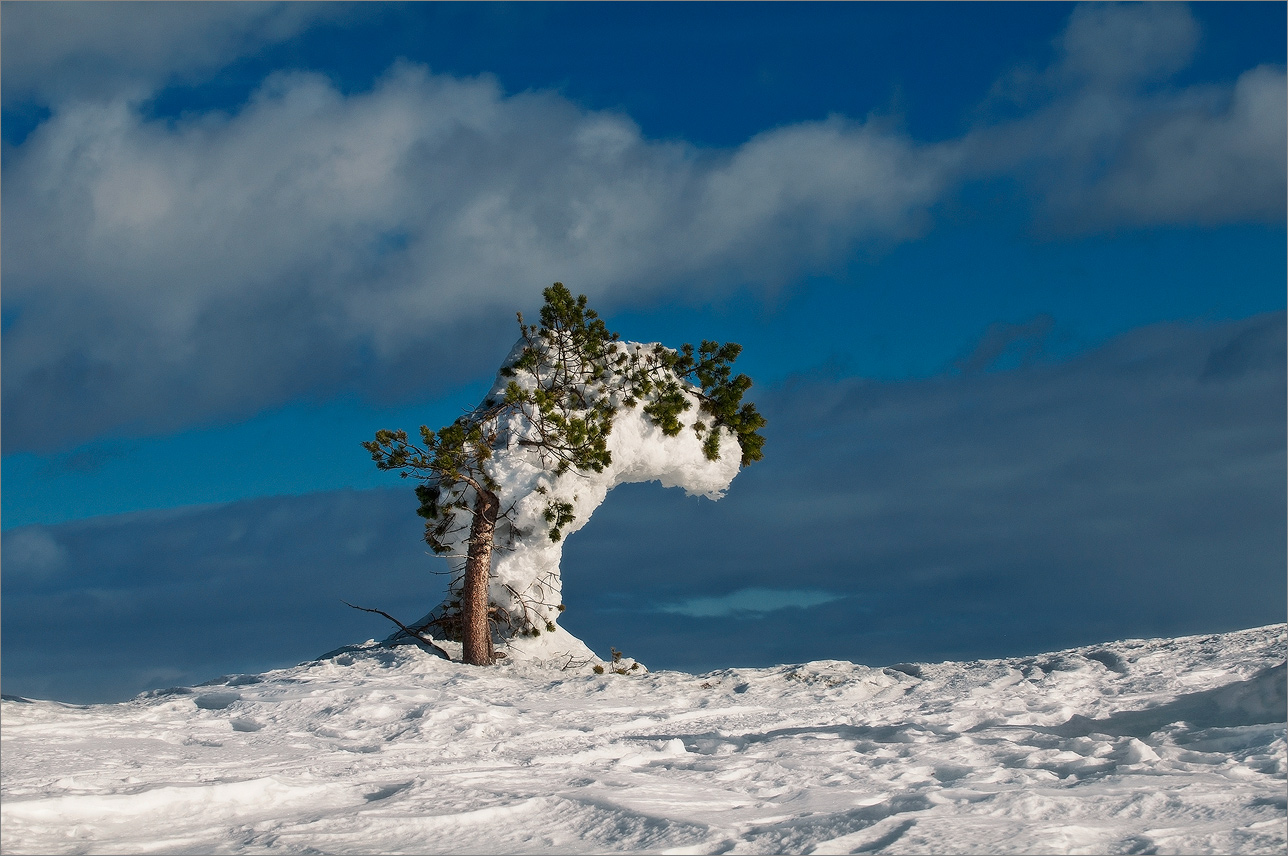 Warten auf Frühling