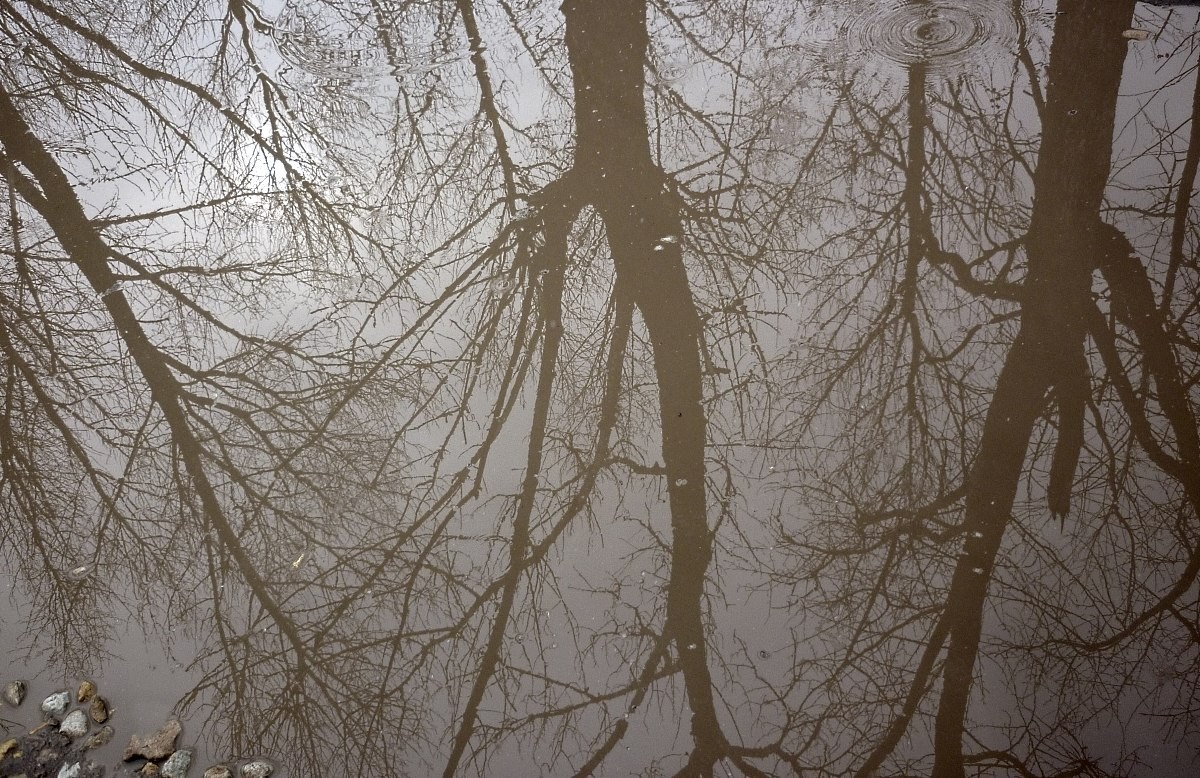 Auf der anderen Seite.