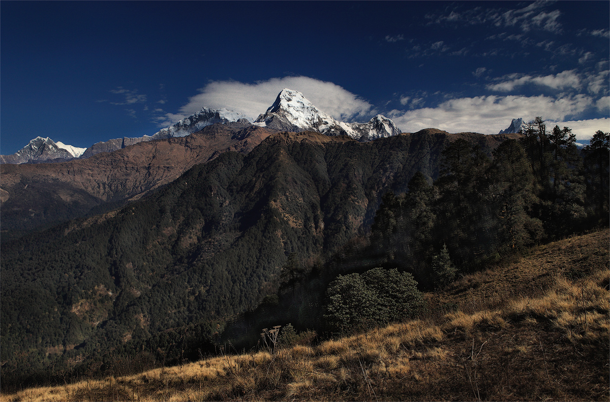 Annapurna South 7219 m